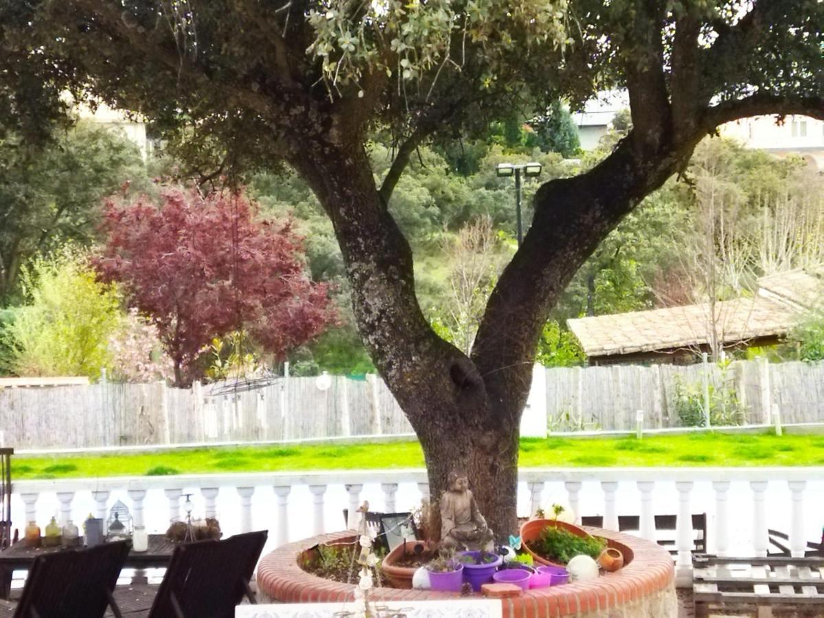 Lovely Home Nearby Madrid To Enjoy Nature Villaviciosa de Odón المظهر الخارجي الصورة